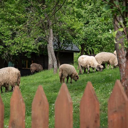 Domek Mysliwski W Gorach Ujsoły Buitenkant foto