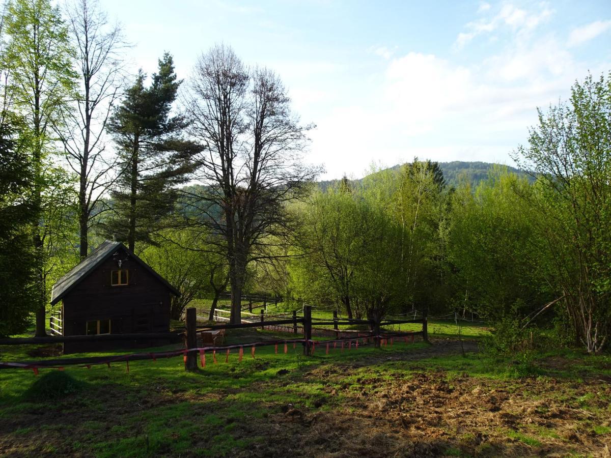 Domek Mysliwski W Gorach Ujsoły Buitenkant foto