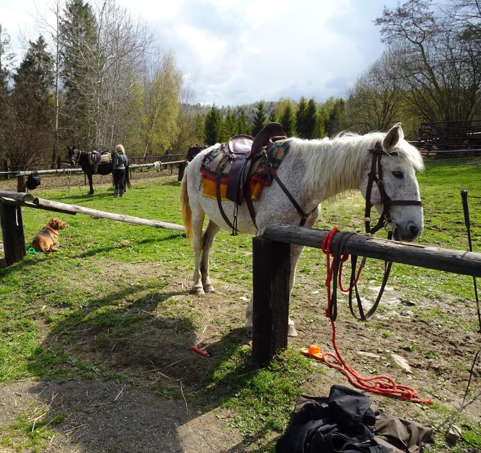 Domek Mysliwski W Gorach Ujsoły Buitenkant foto